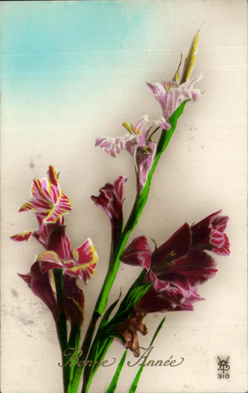 Flores de la fantasia de CPA