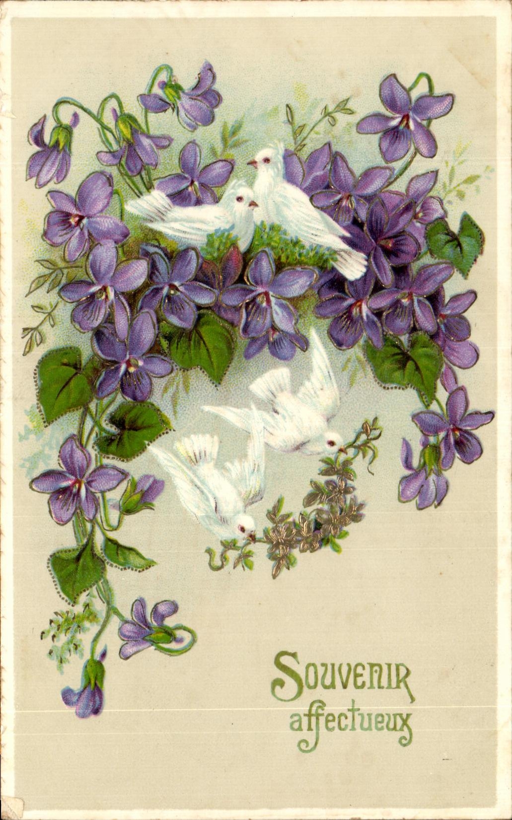 La fantasia de CPA florece palomas