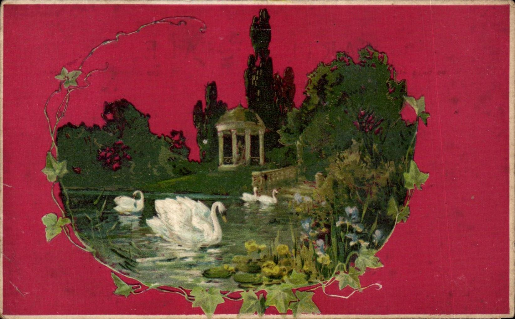 Cisnes del jardin de la fantasia de CPA