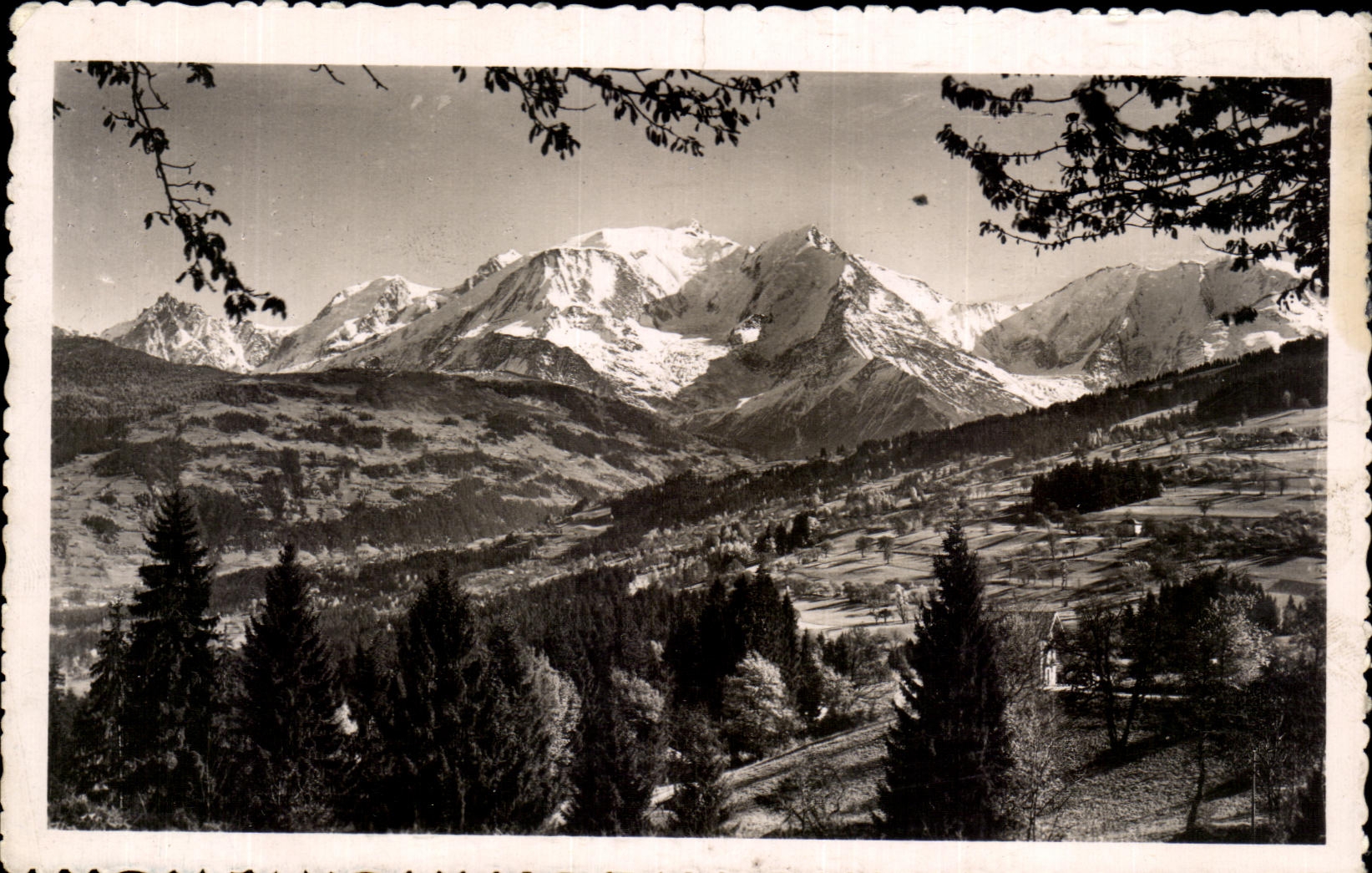 CPA Road of Sallanches Combloux Megeve Panorama on Mont Blanc
