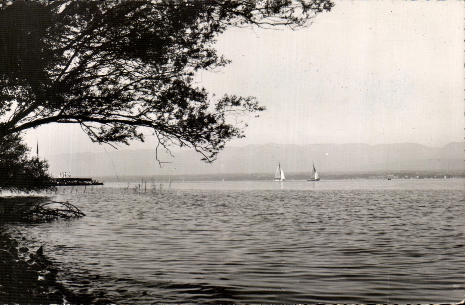 CPA Hermancia Our Leman Stereotypes Photo Club of the Building site