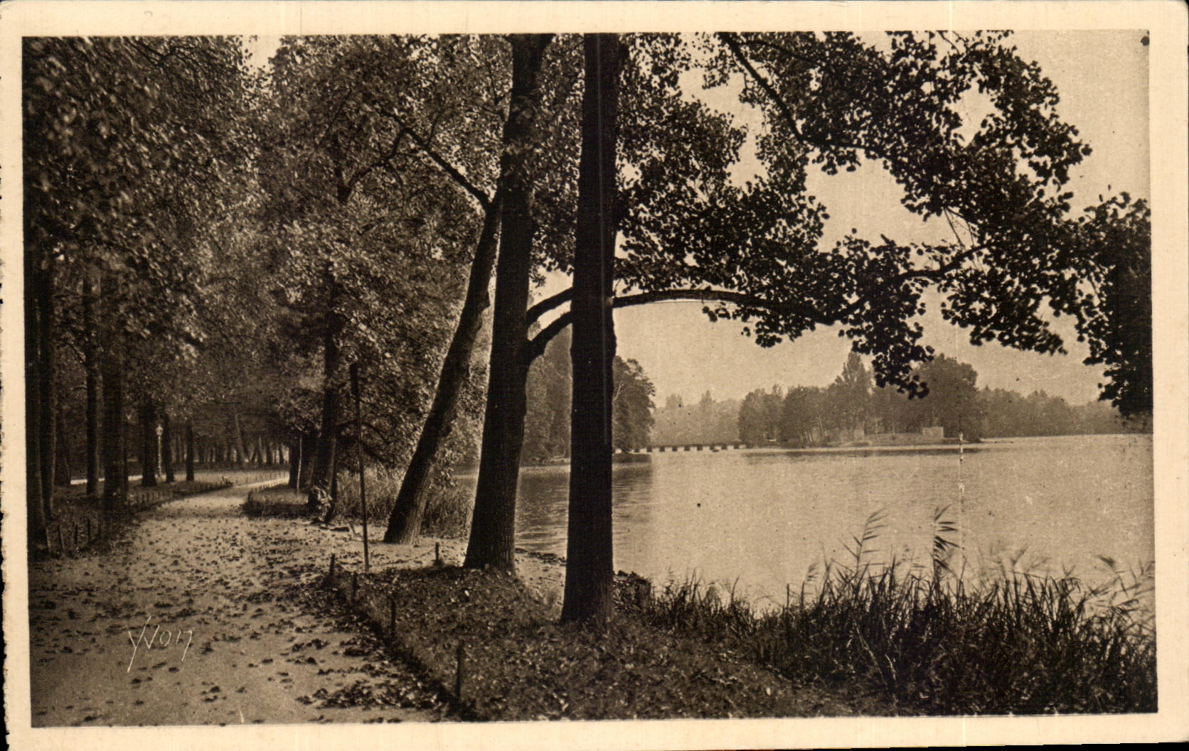 CPA Soft France Lyon Park Of the gold Head