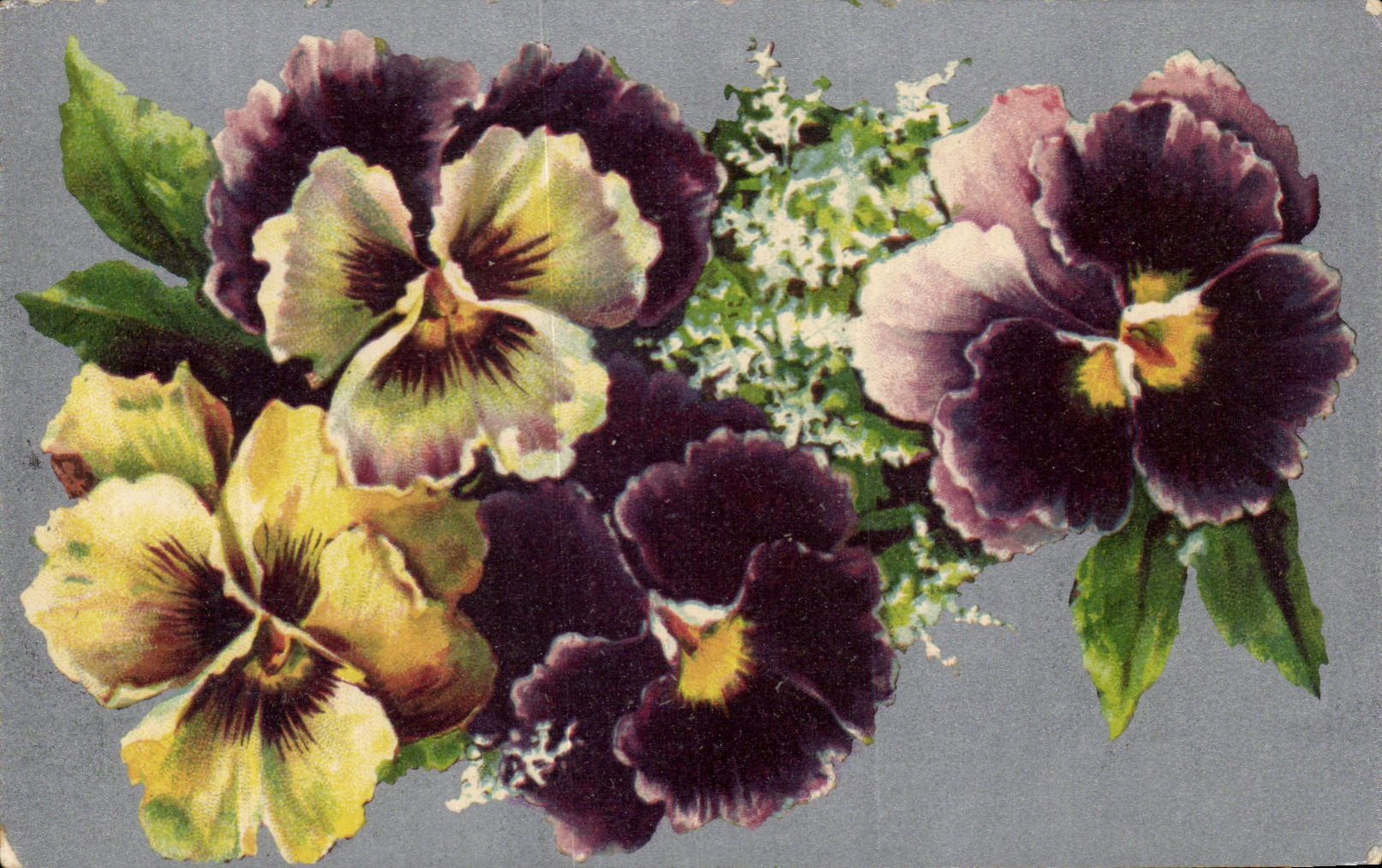 Flores de la fantasia de CPA