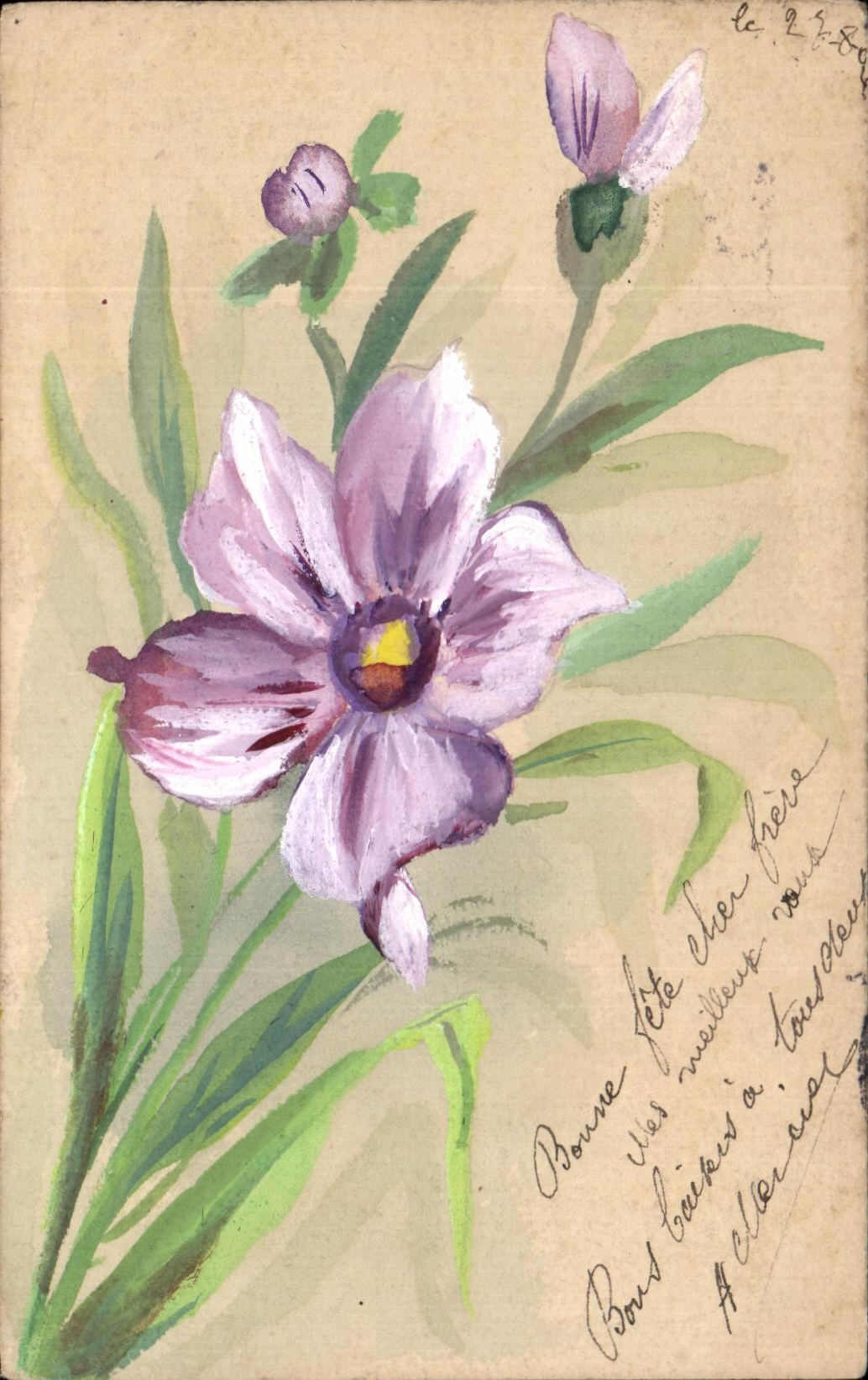 Flores de la fantasia de CPA