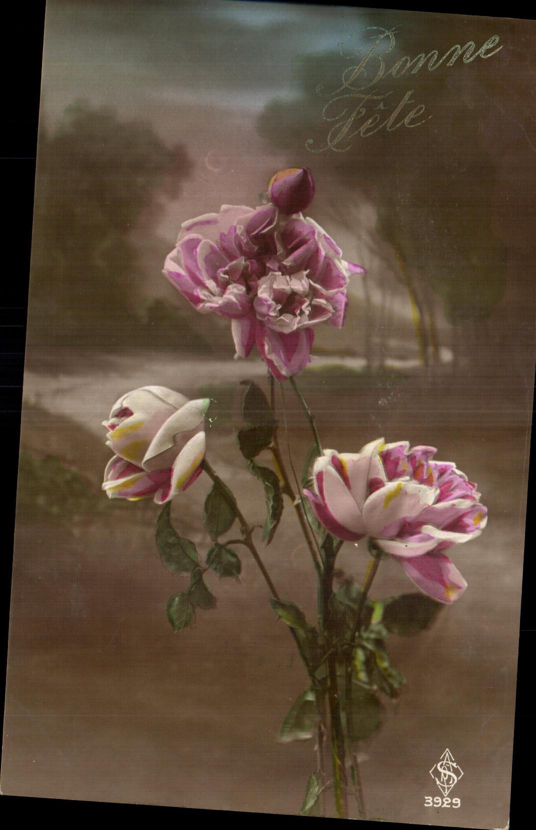 Flores de la fantasia de CPA