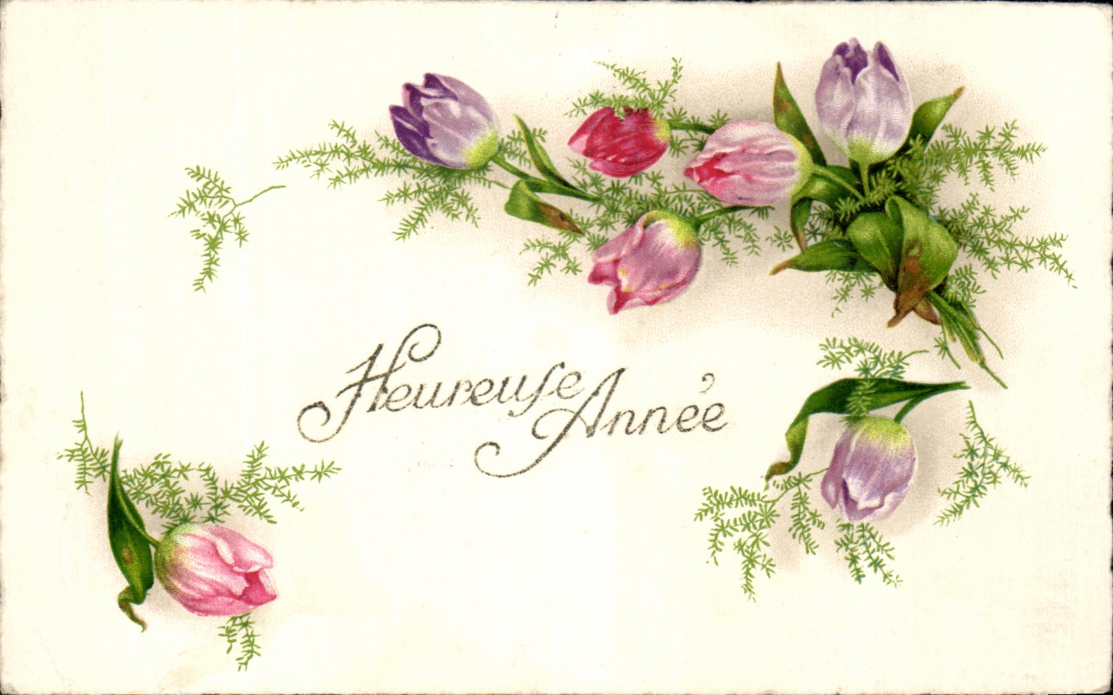 Flores de la fantasia de CPA