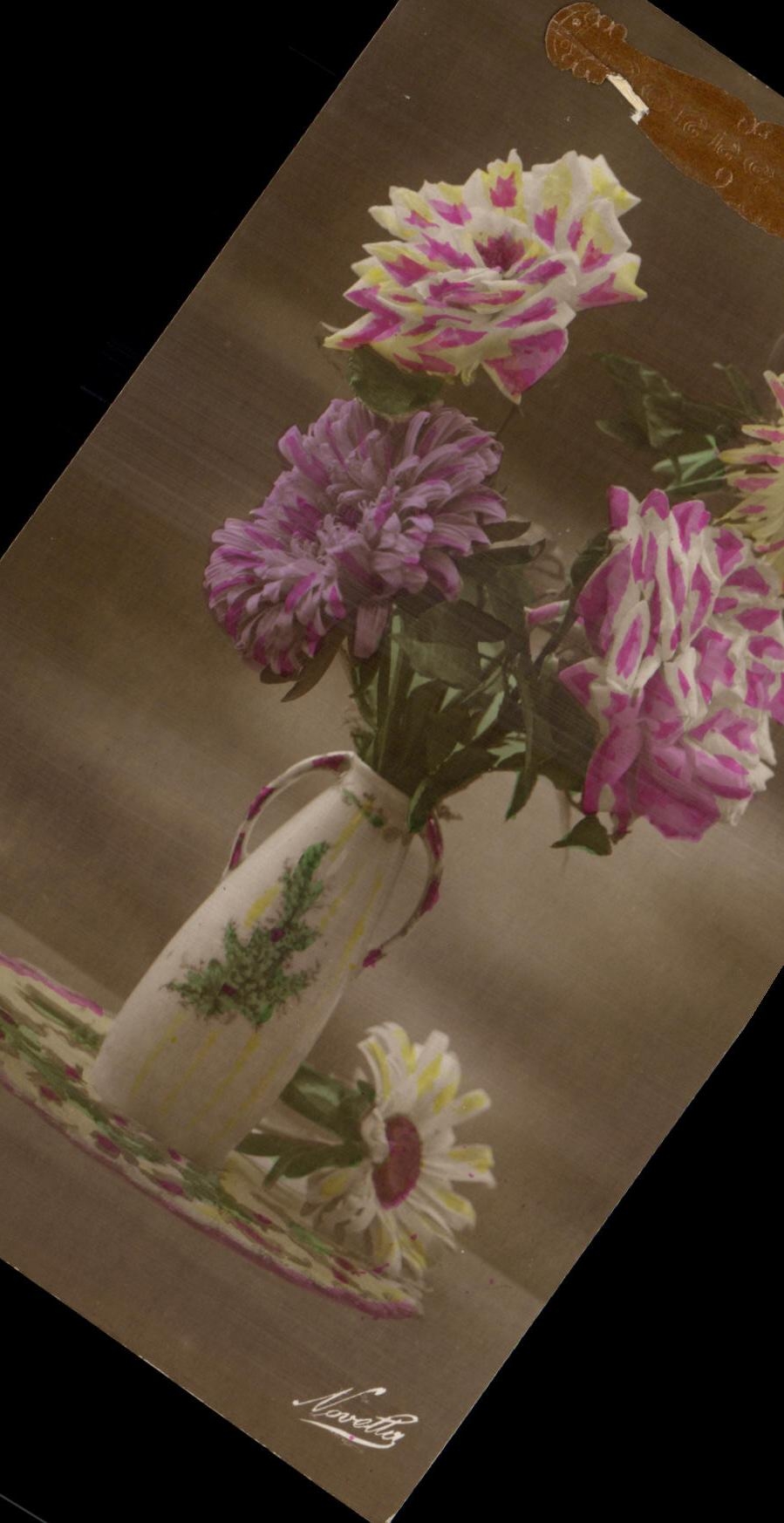 Flores de la fantasia de CPA