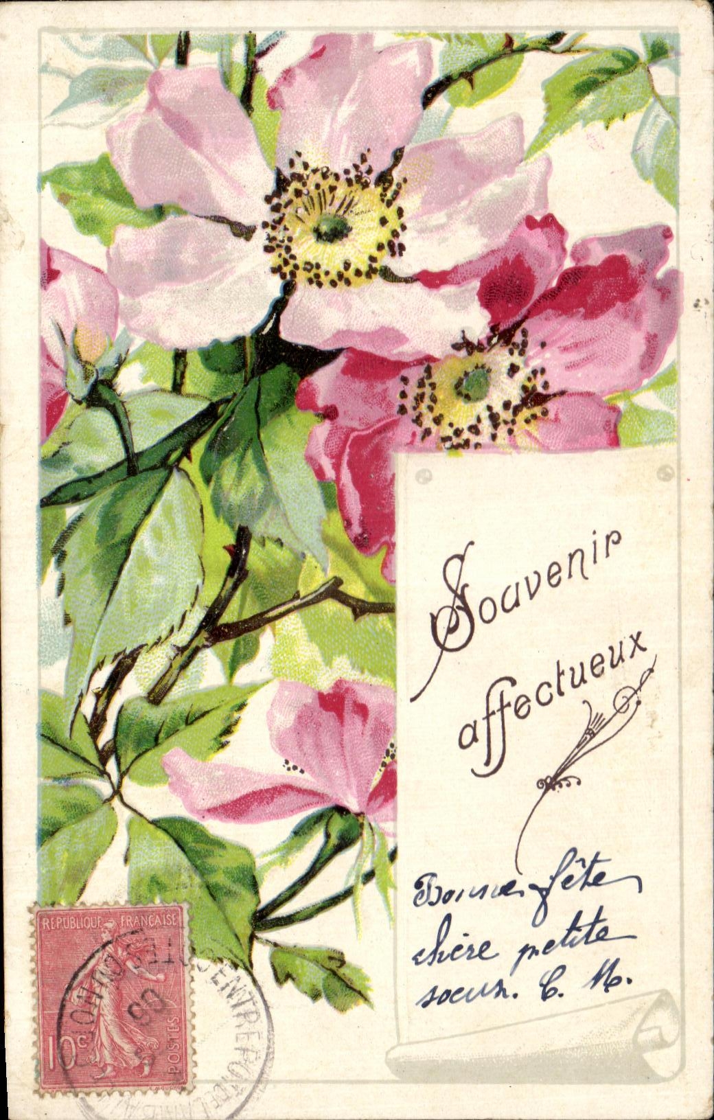 Flores de la fantasia de CPA