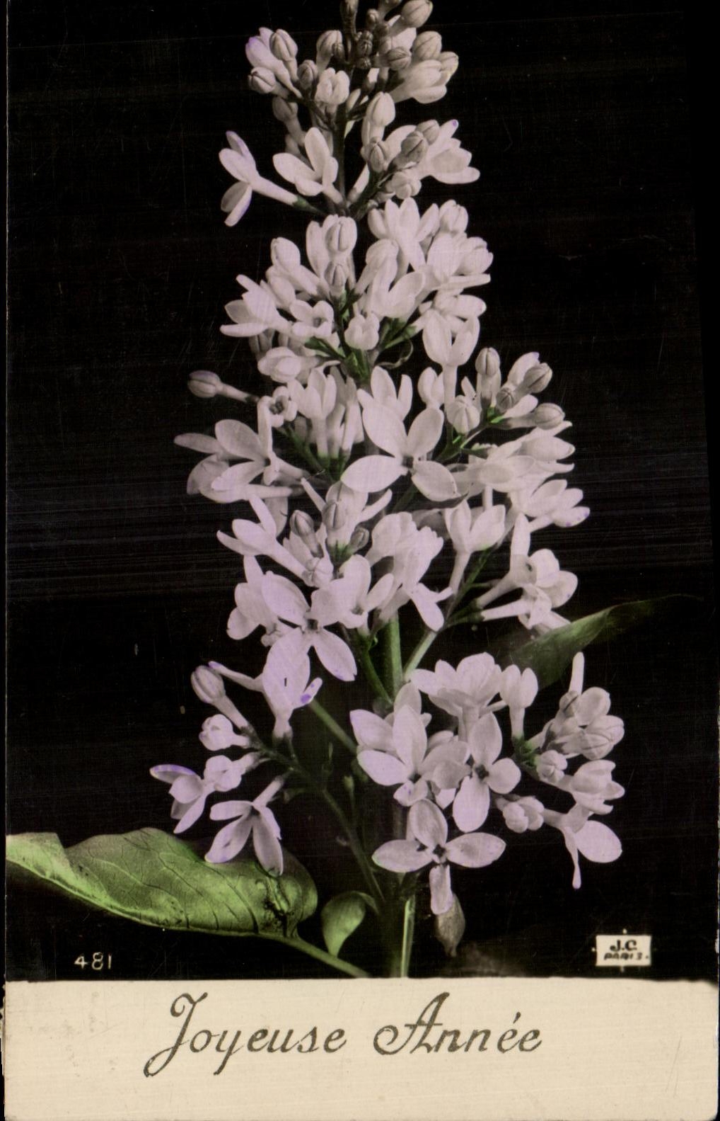 Flores de la fantasia de CPA