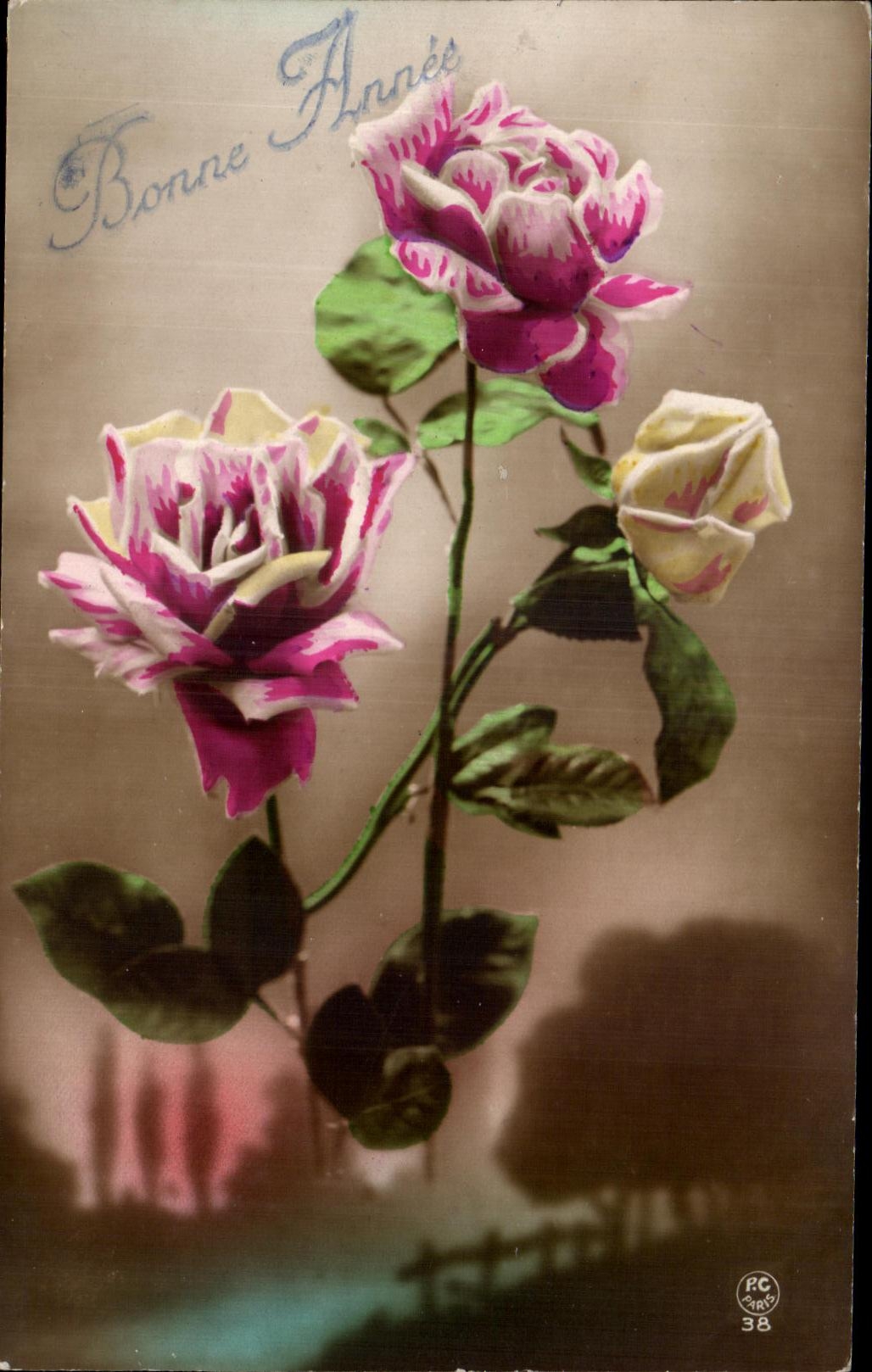 Flores de la fantasia de CPA