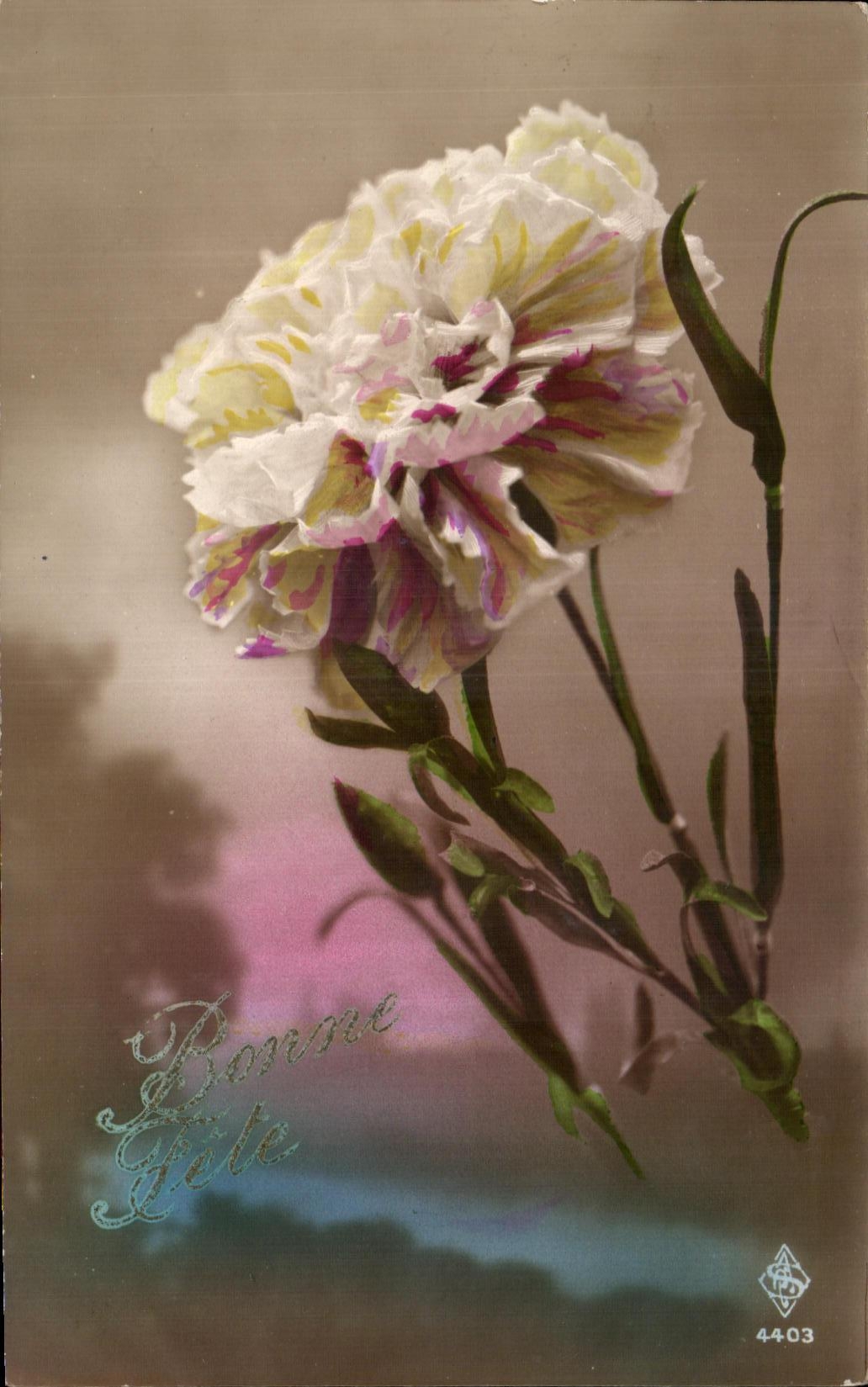 Flores de la fantasia de CPA