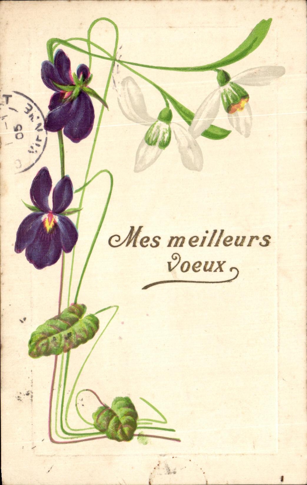 Flores de la fantasia de CPA