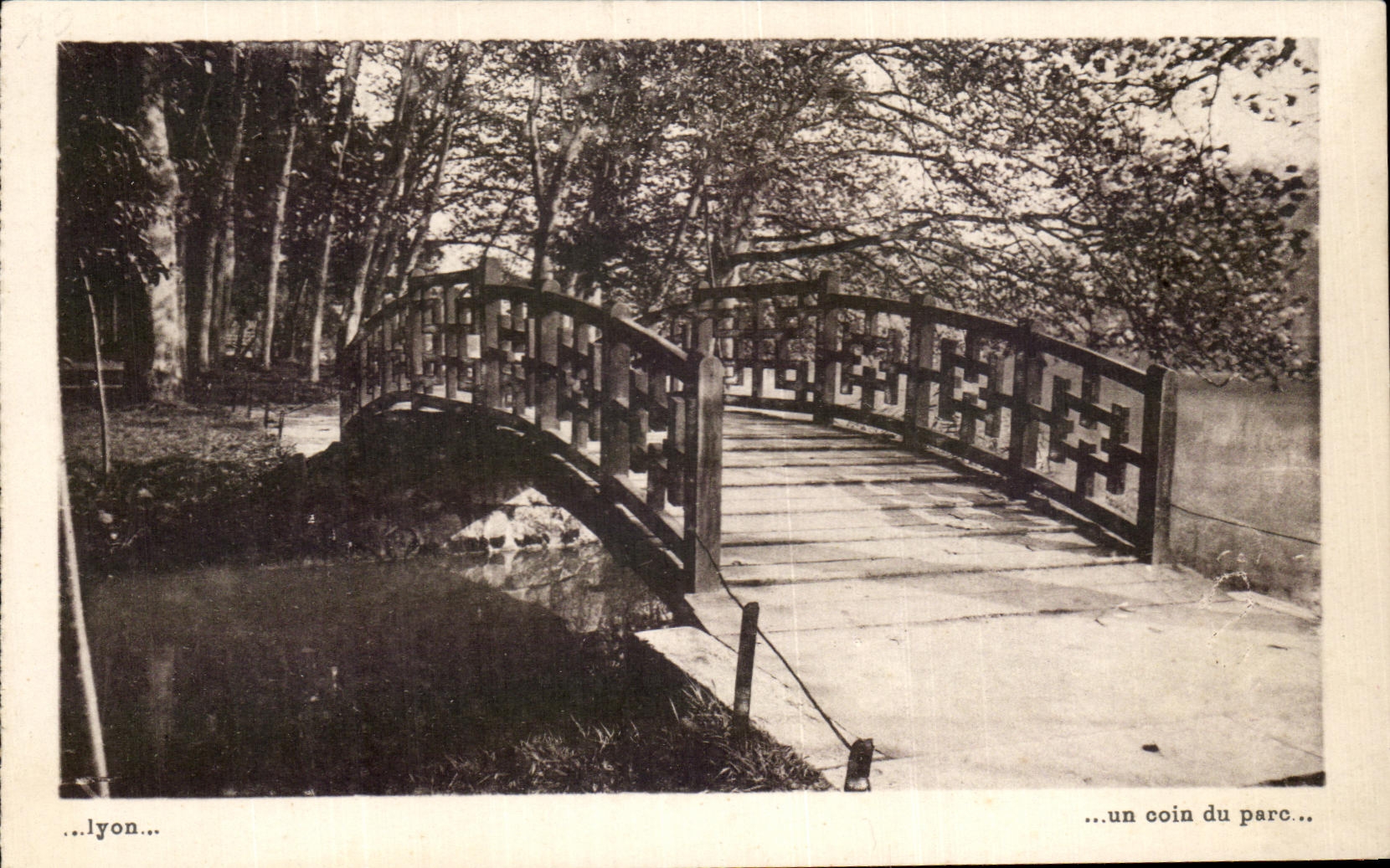 CPA Lyon a Corner Of the Park