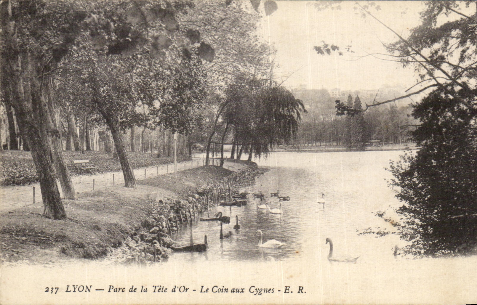 CPA Lyon Park Of the Gold Head the Corner To the Swans