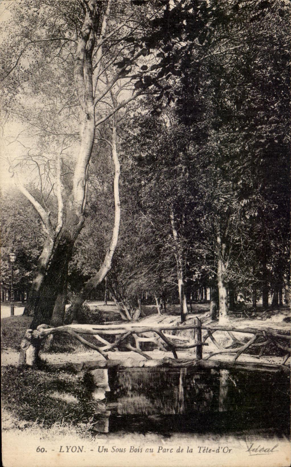 CPA Lyon Under Wood with the Park of the Gold Head