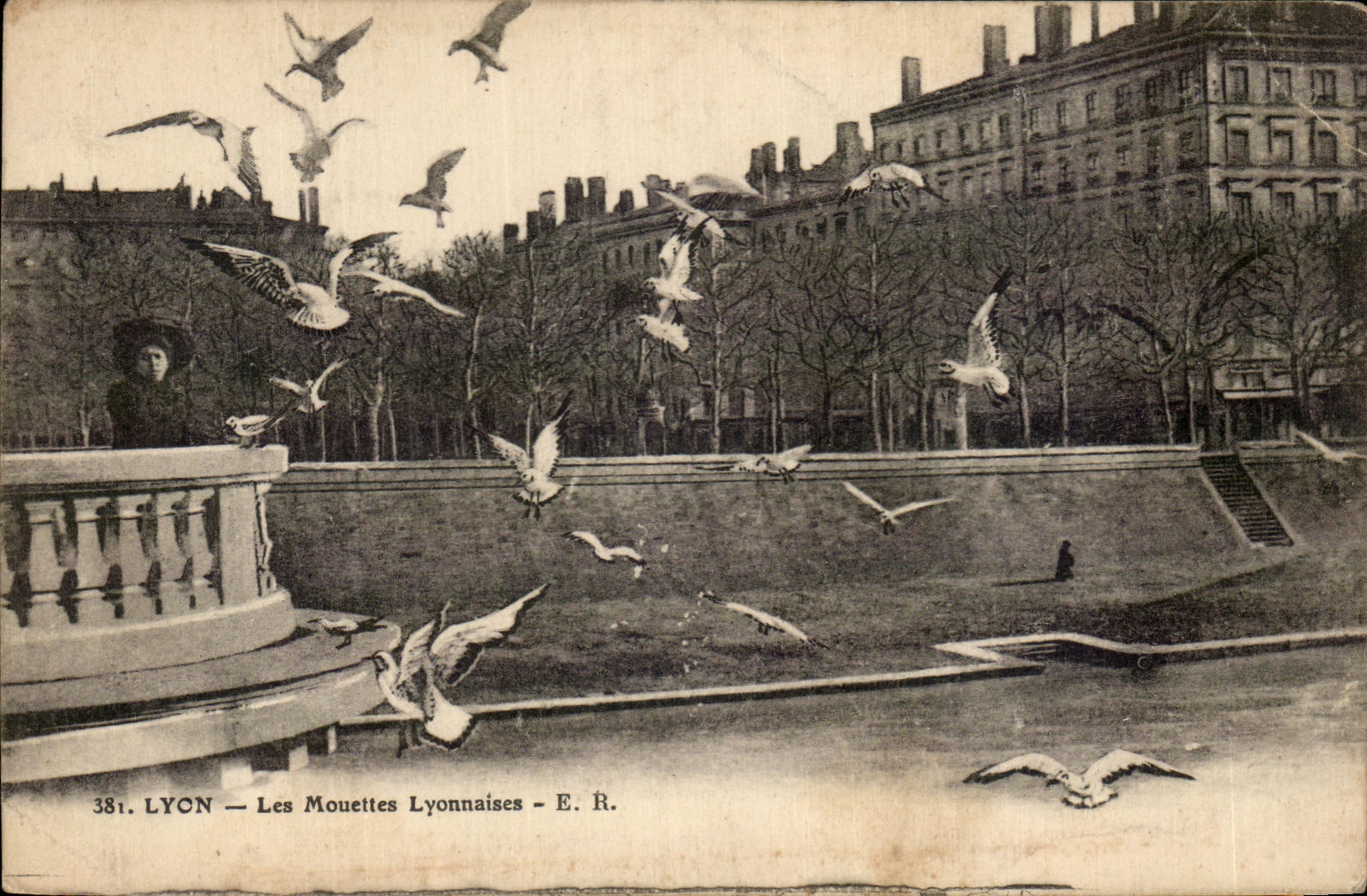 CPA Lyon Lyons Gulls