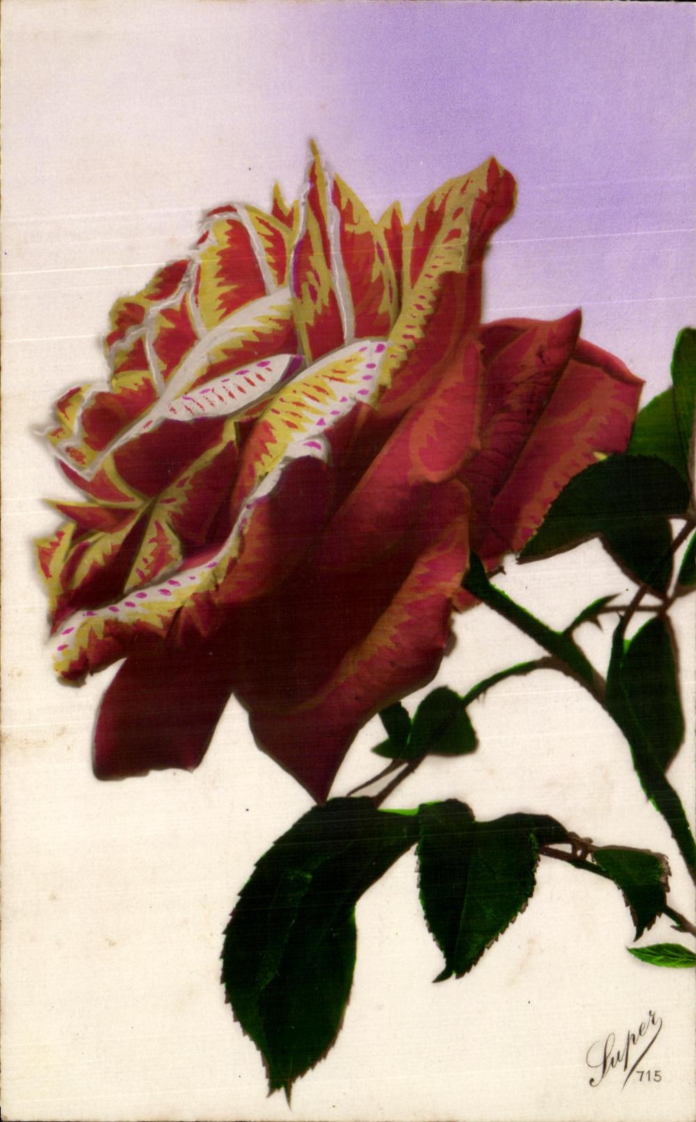 Flores de la fantasia de CPA