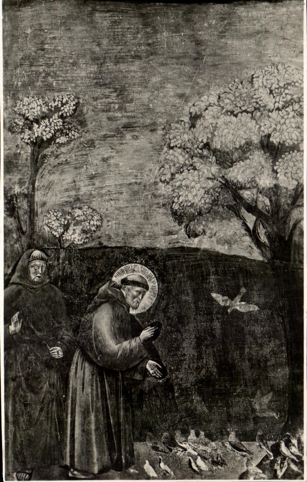 Superiore di S Francisco de CPA Italia Assisi Chiesa