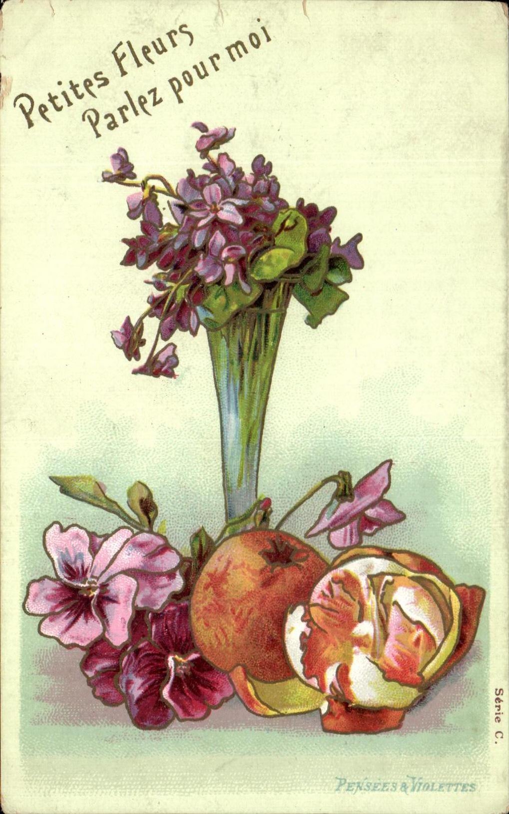 Flores y violetas del pensamiento de la fantasia de CPA