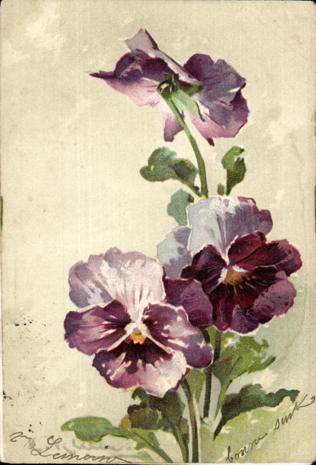 Flores de la fantasia de CPA