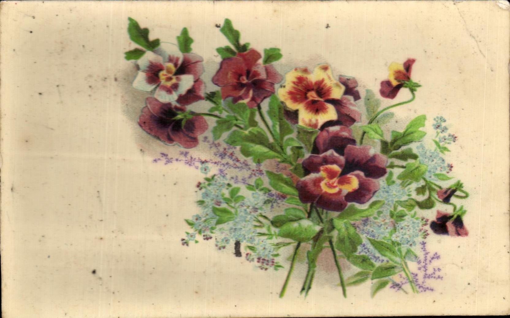 Flores de la fantasia de CPA