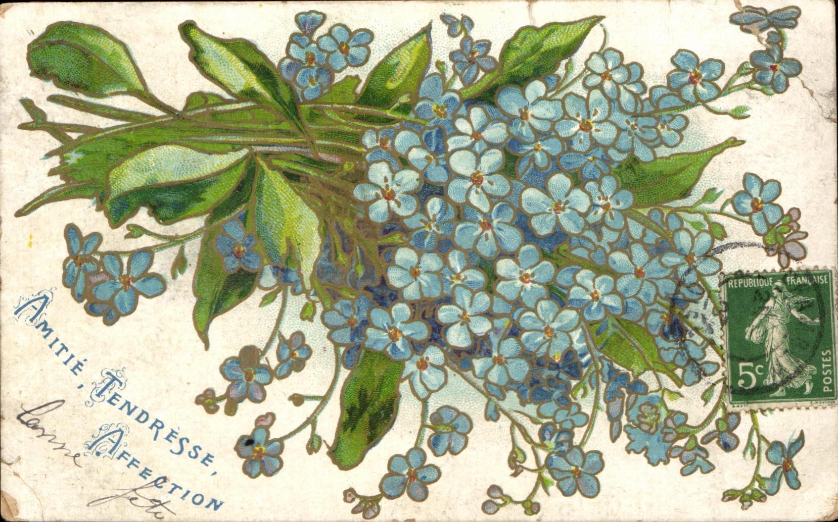 Flores de la fantasia de CPA