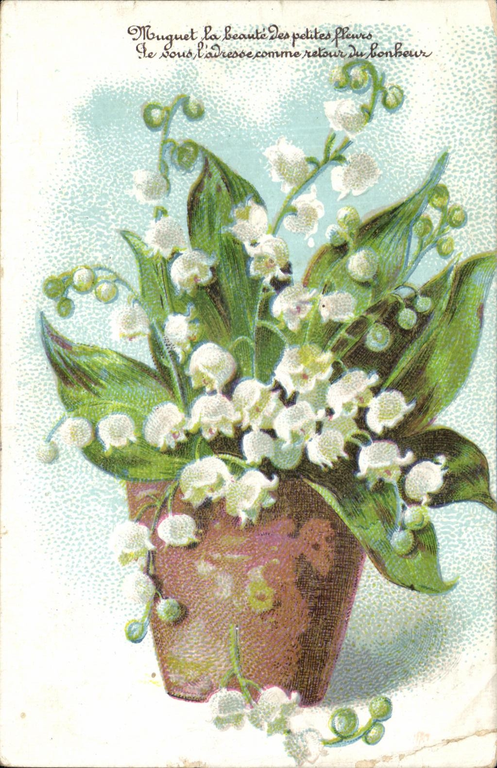 La fantasia de CPA florece el lirio de los valles