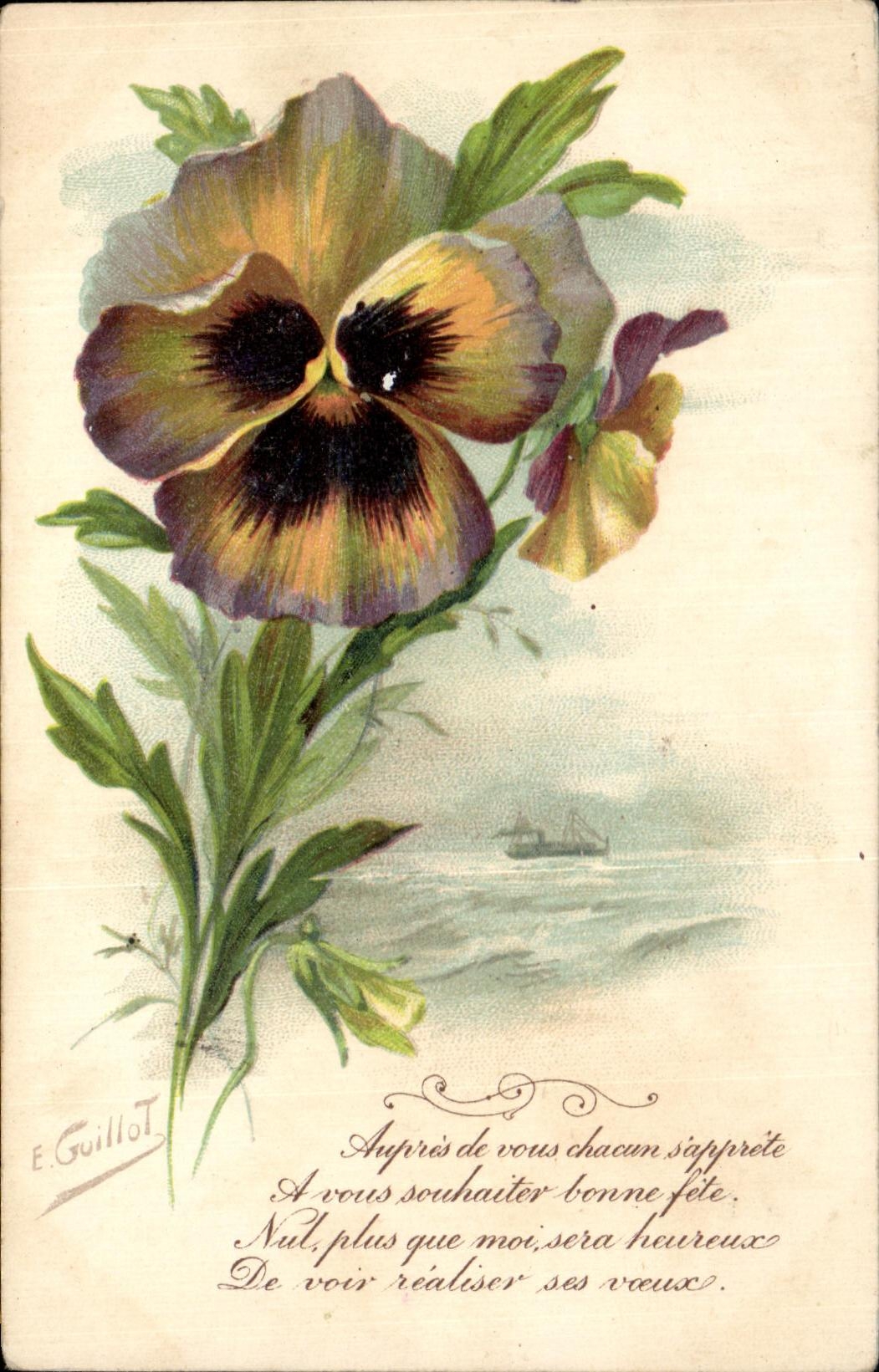 Flores de la fantasia de CPA