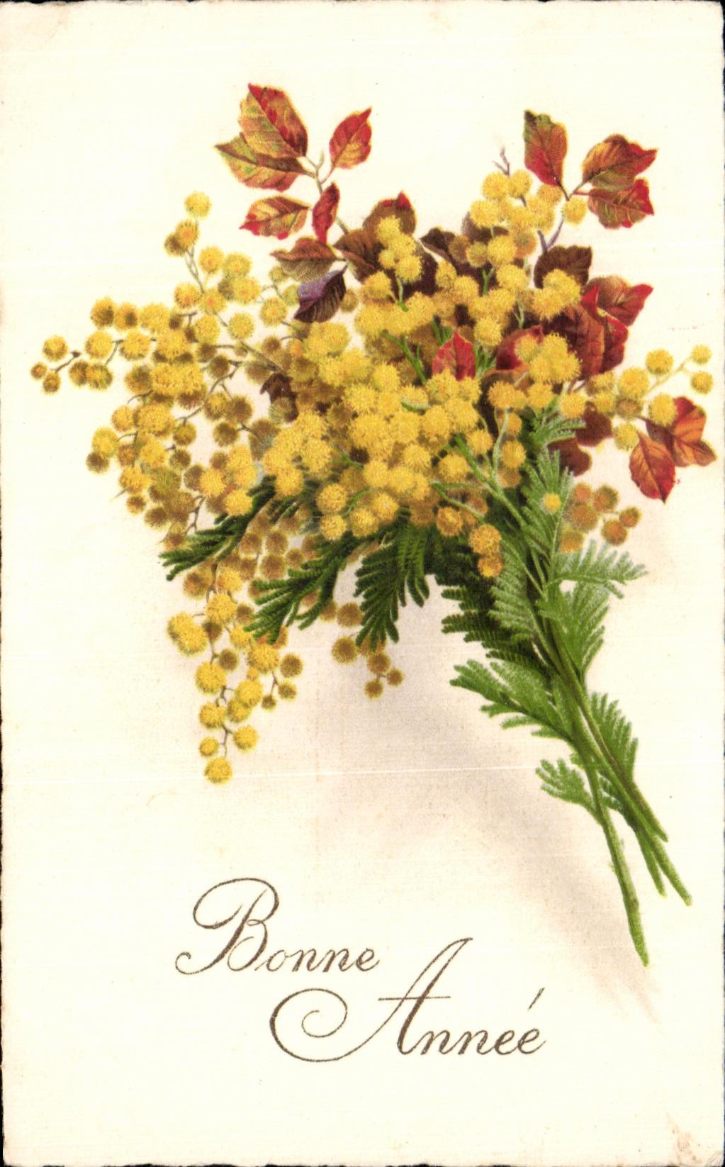 Flores de la fantasia de CPA