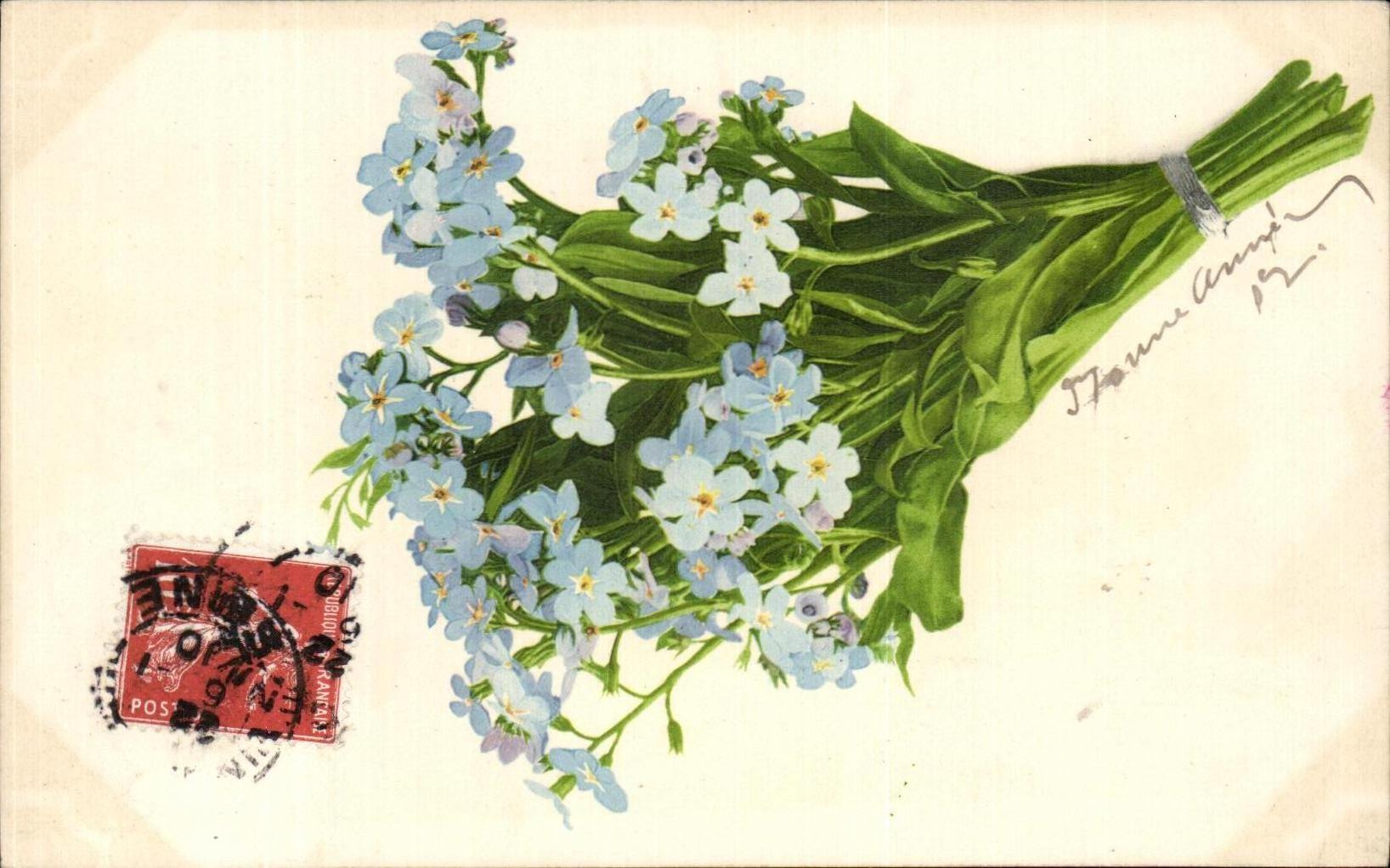 Flores de la fantasia de CPA