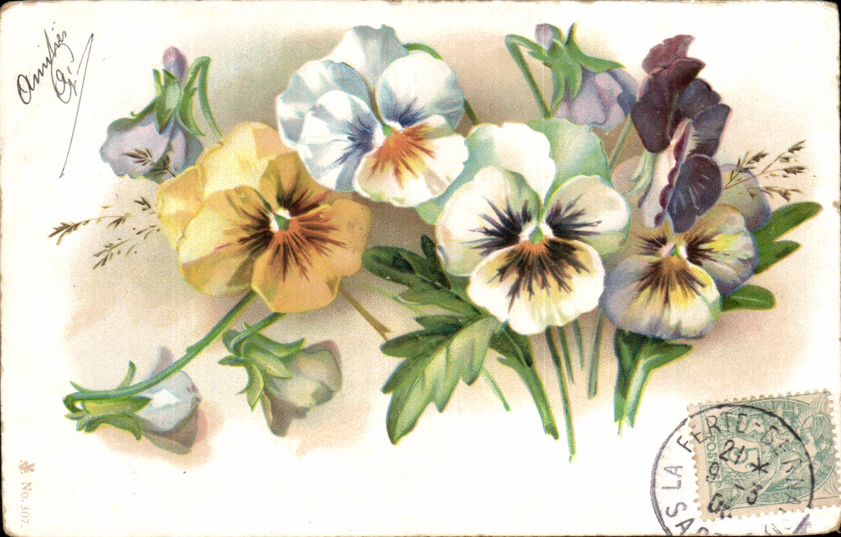 Flores de la fantasia de CPA