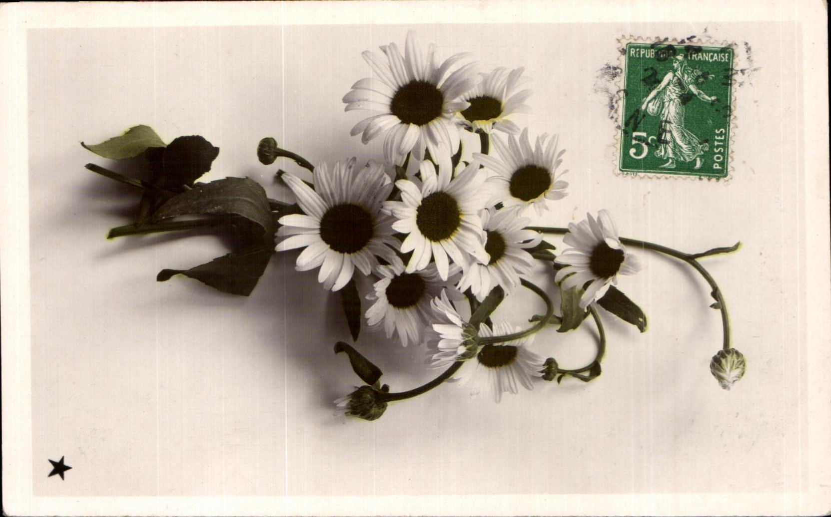 Flores de la fantasia de CPA