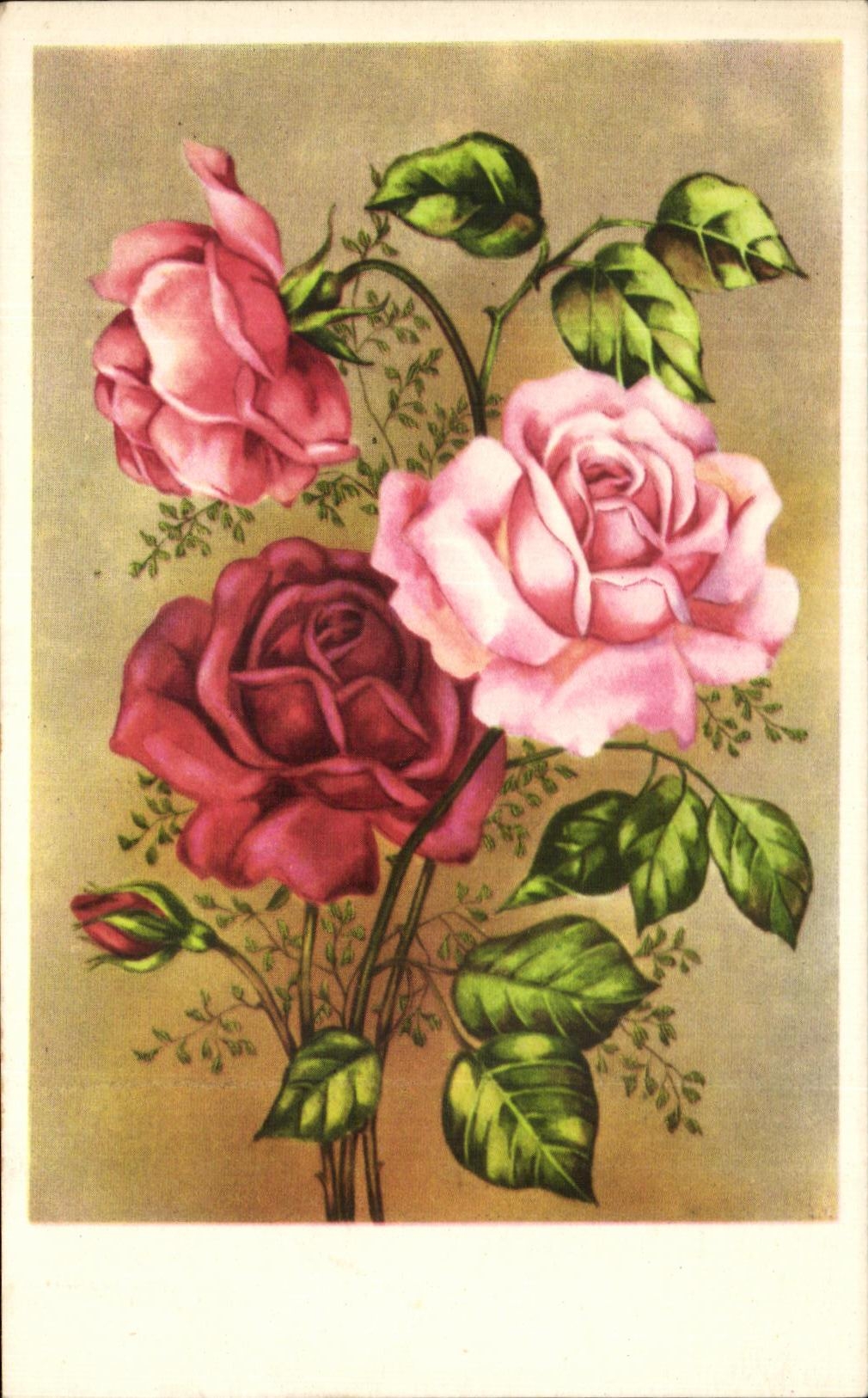 Flores de la fantasia de CPA