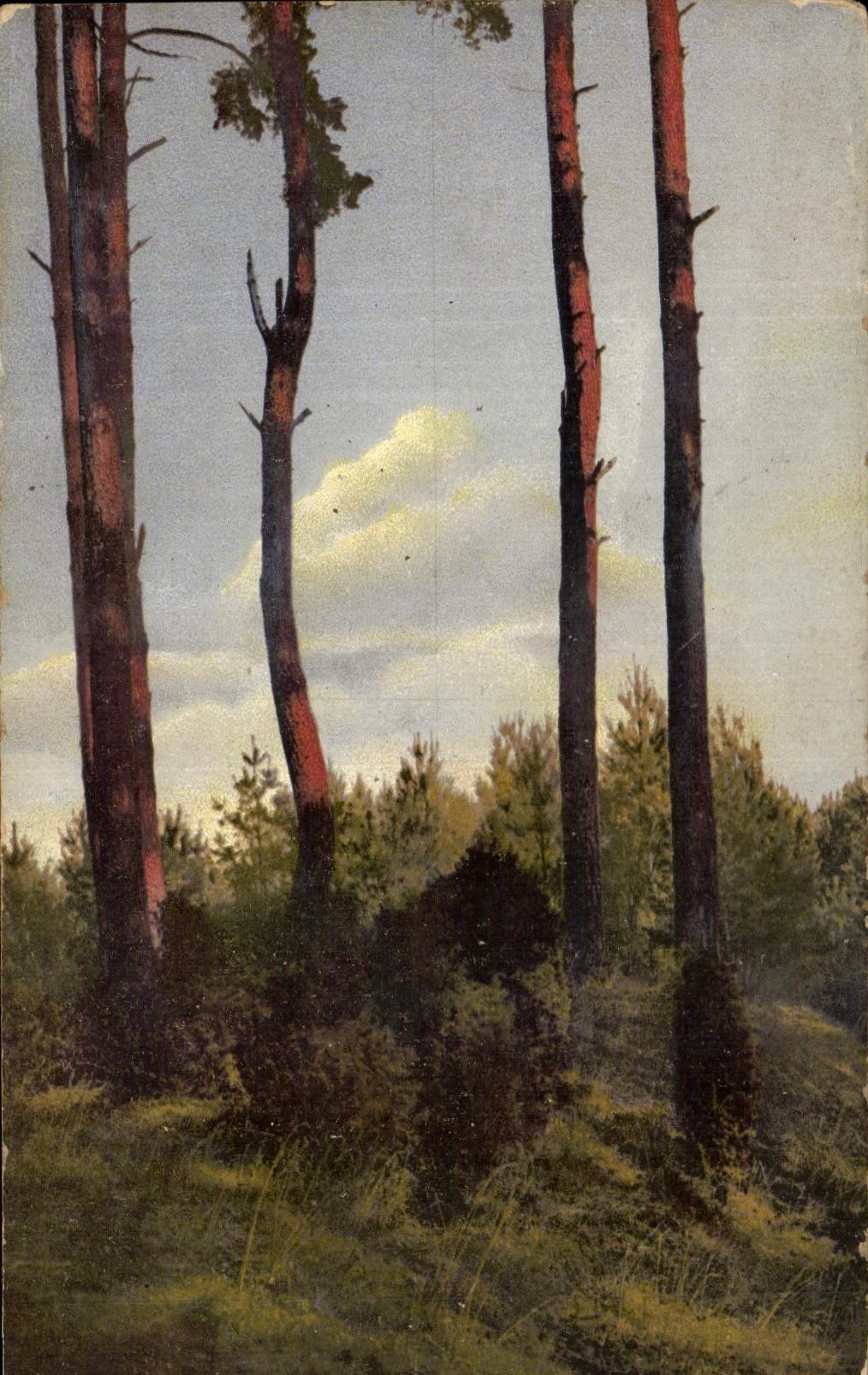 Taladro de la fantasia de CPA