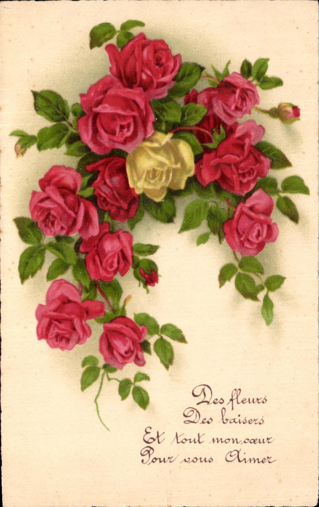 Flores de la fantasia de CPA