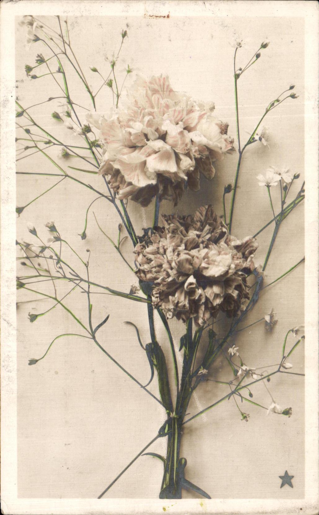 Flores de la fantasia de CPA