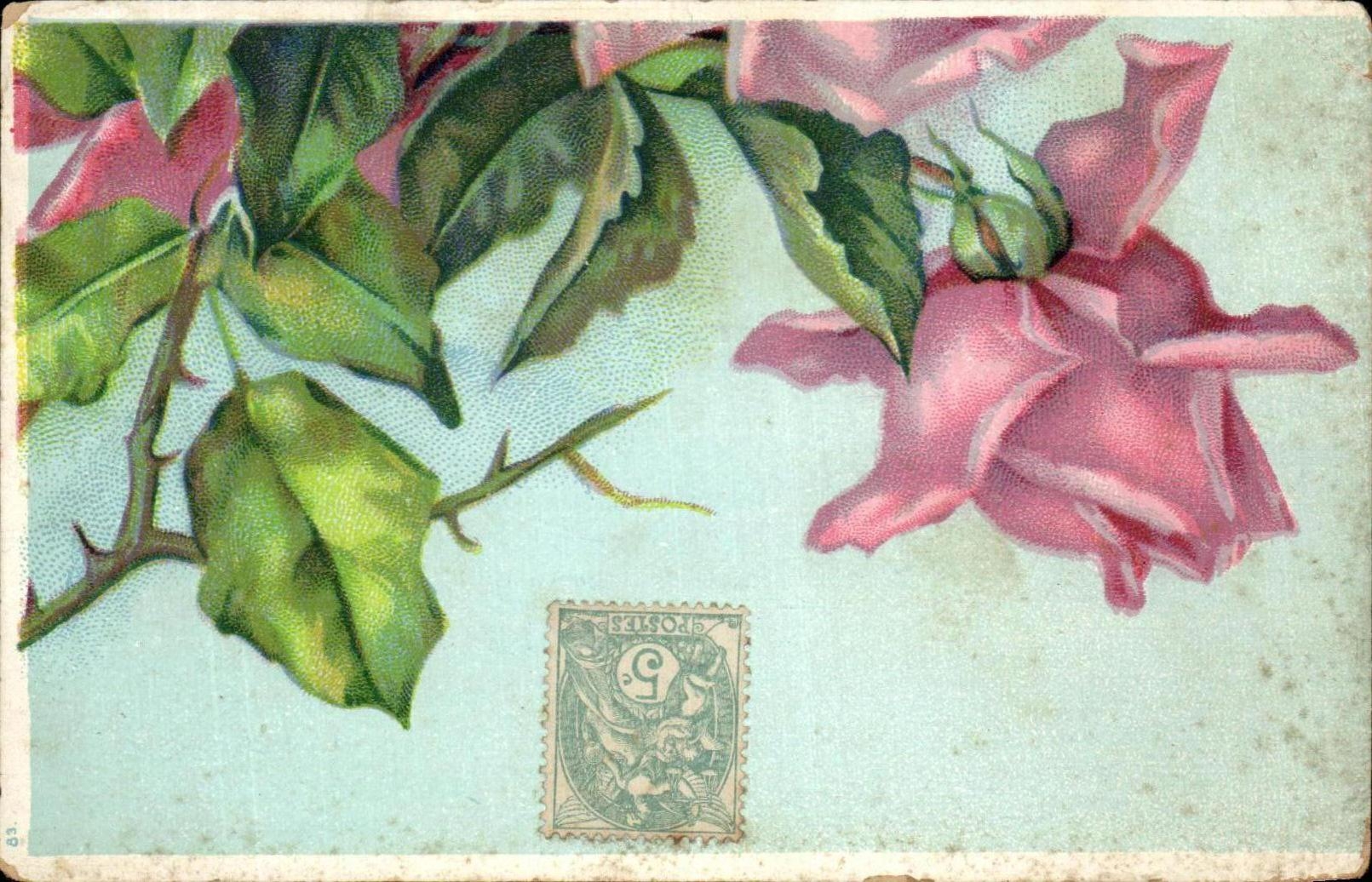 Flores de la fantasia de CPA