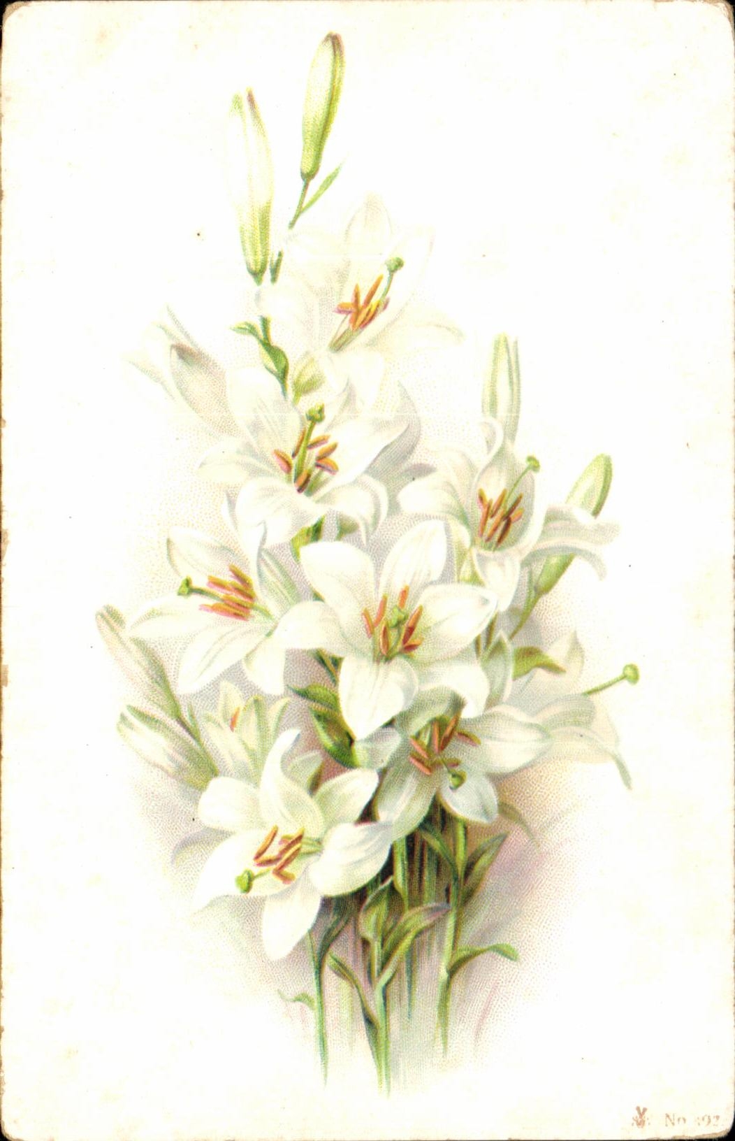 Flores de la fantasia de CPA