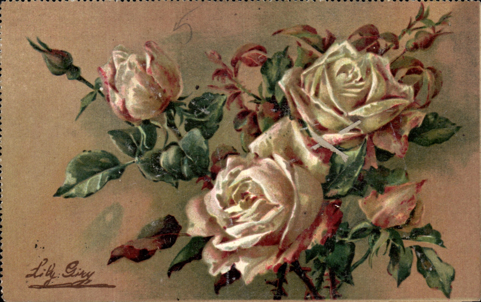 Flores de la fantasia de CPA