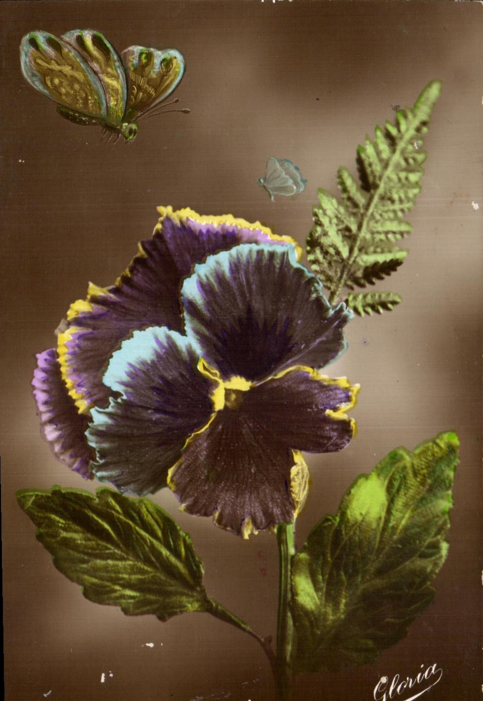 Flores de la fantasia de CPA