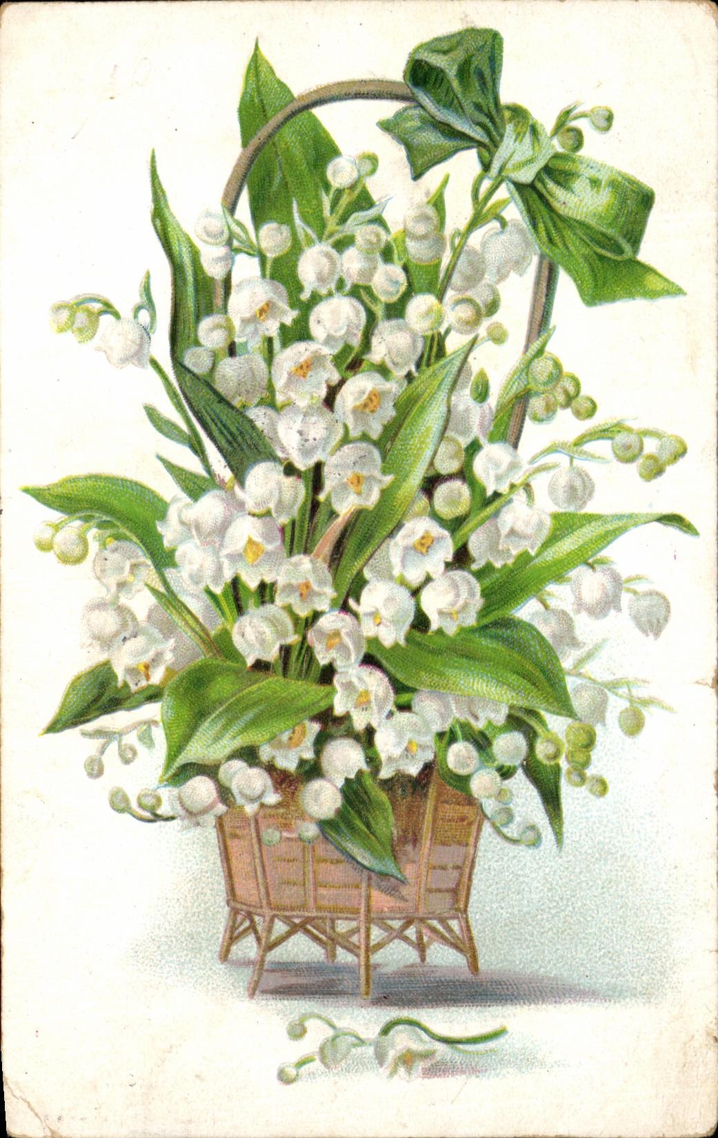 La fantasia de CPA florece el lirio de los valles