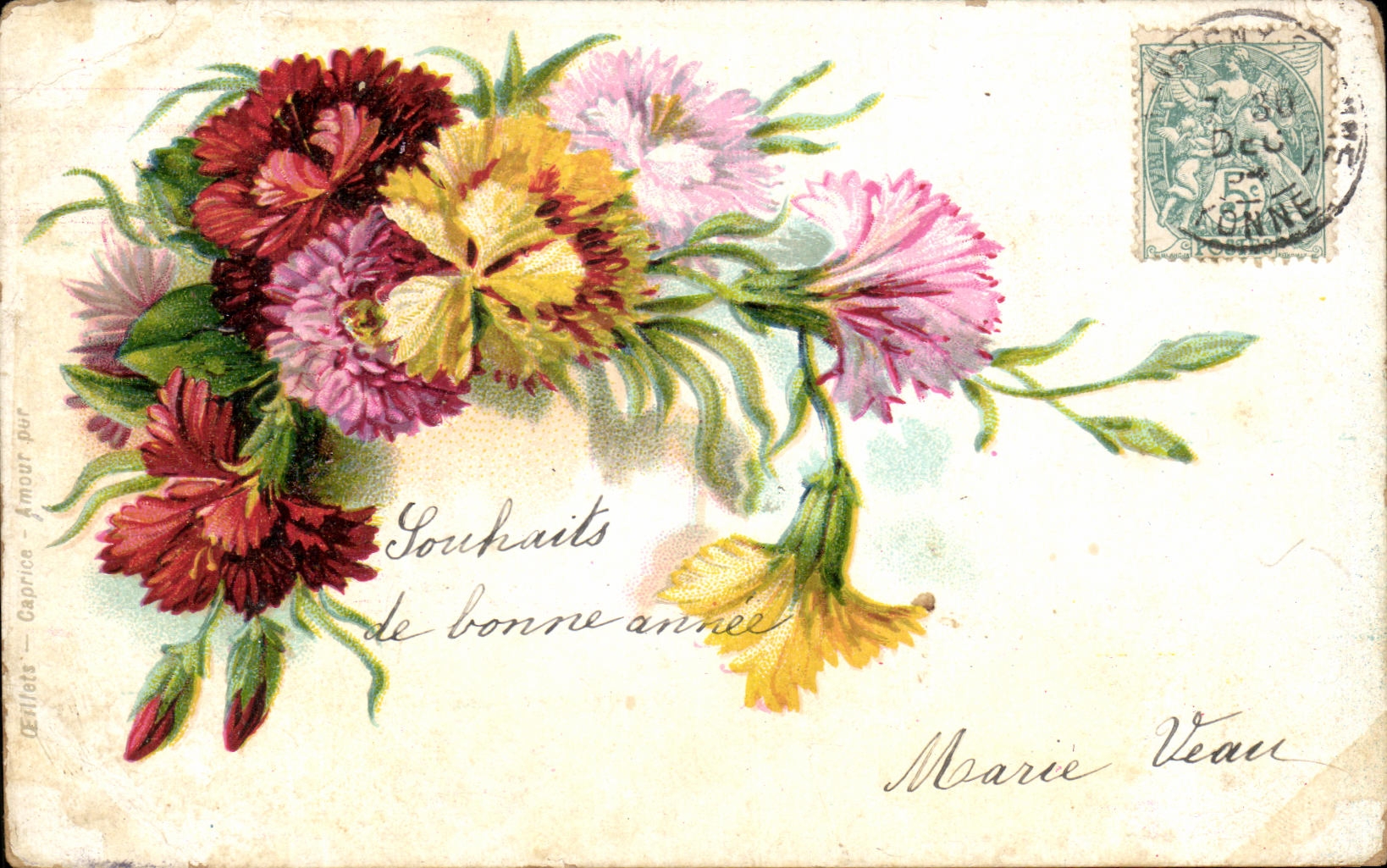 Flores de la fantasia de CPA