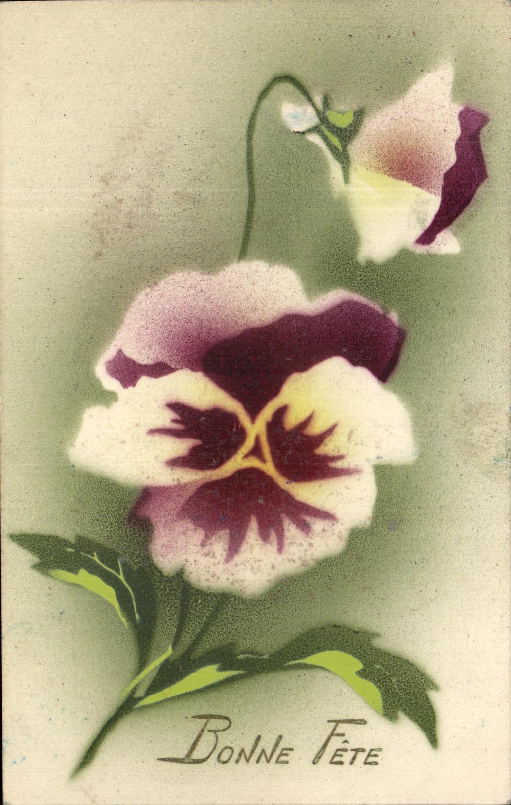 Flores de la fantasia de CPA