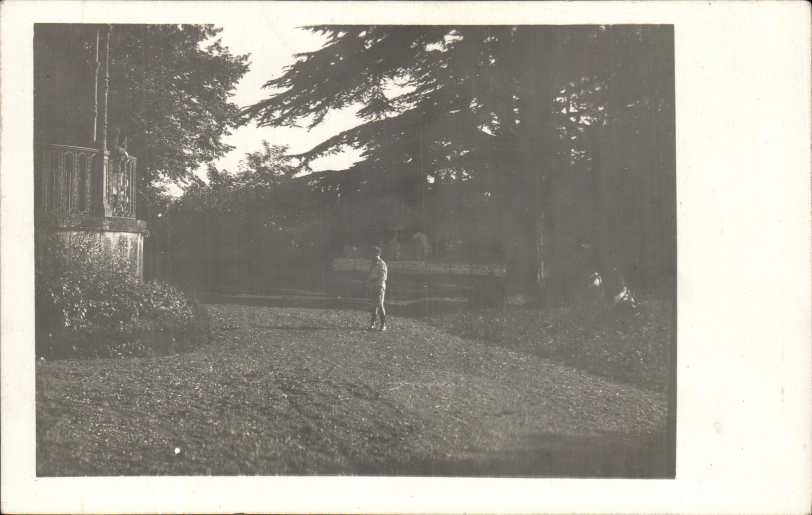 Nino verdadero de la foto en un parque