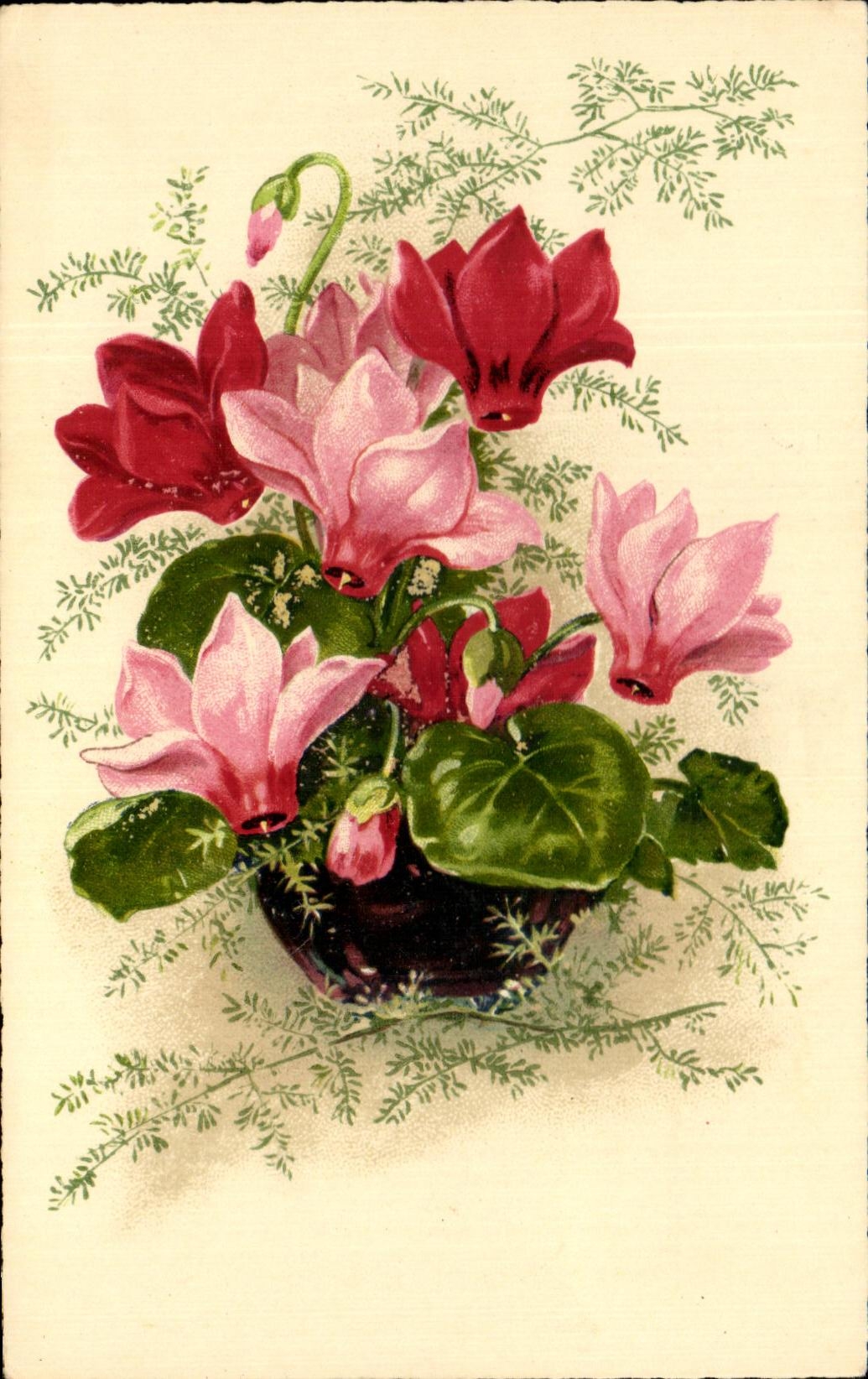 Flores de la fantasia de CPA