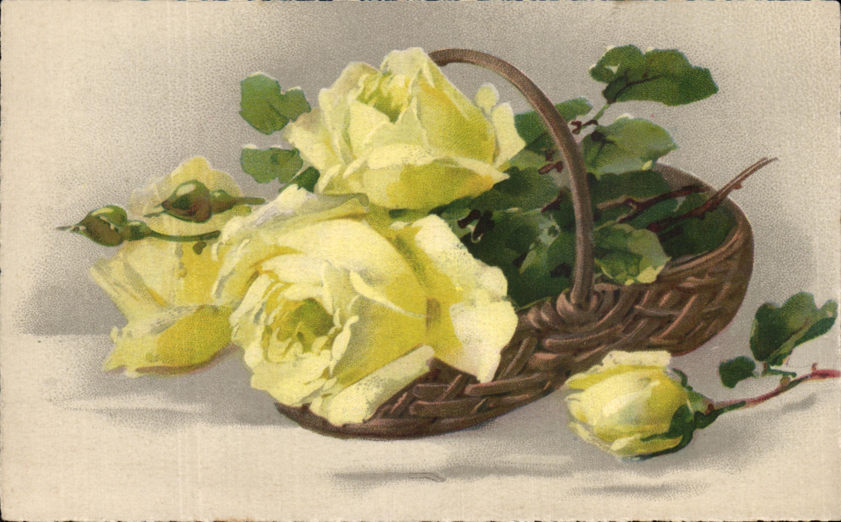 Flores de la fantasia de CPA