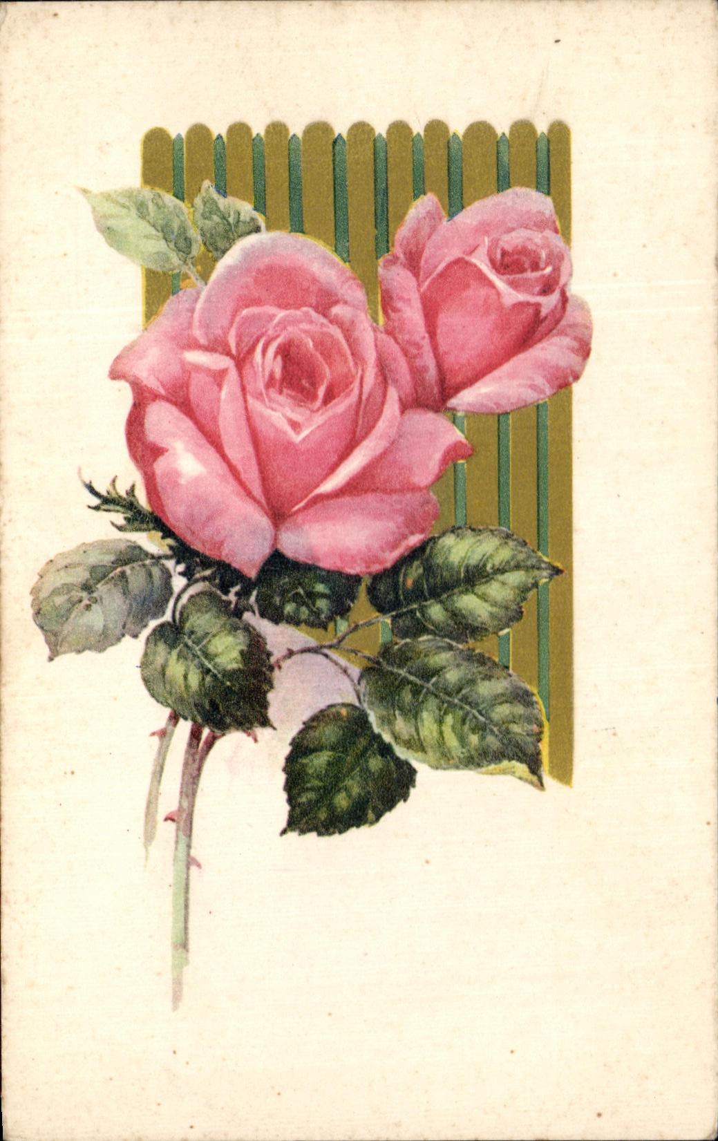 Flores de la fantasia de CPA