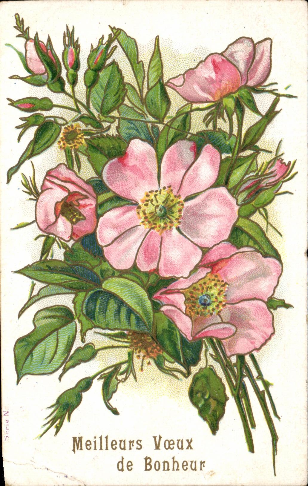 Flores de la fantasia de CPA