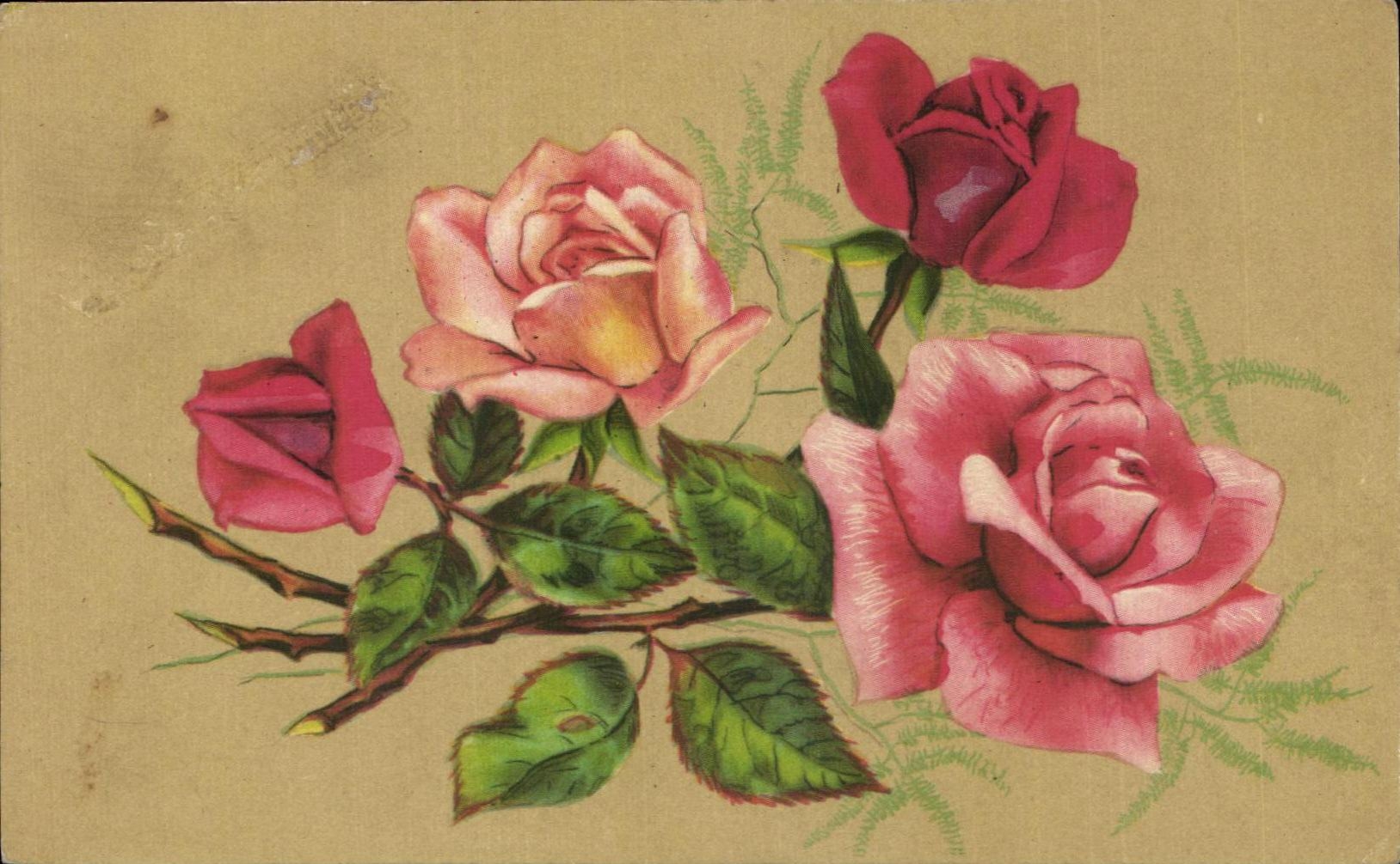 Flores de la fantasia de CPA