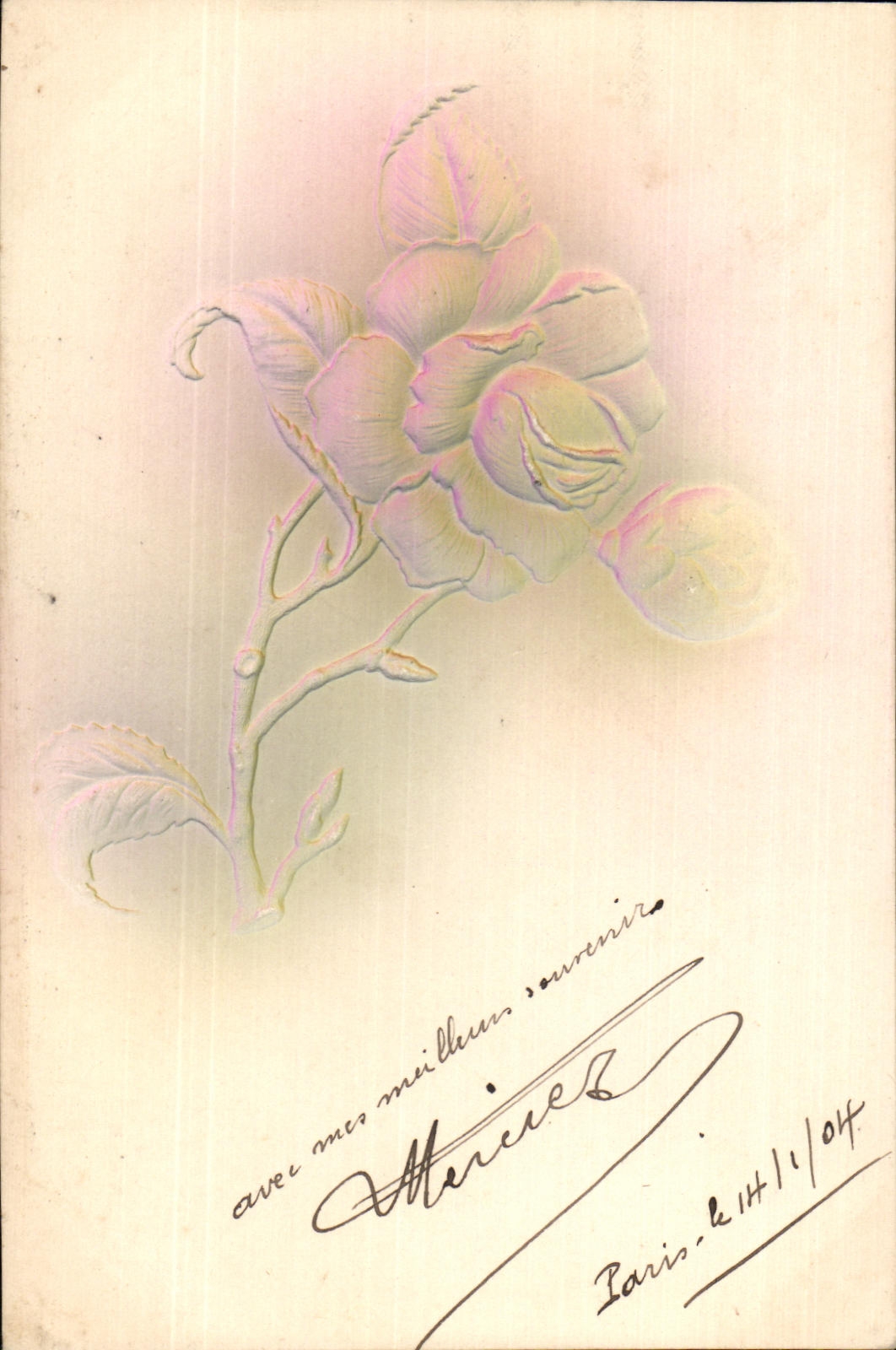 Flor de la fantasia de CPA